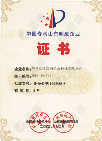 中国专利山东明星企业证书
